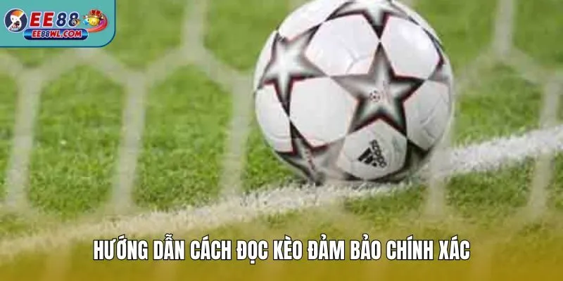 Hướng dẫn cách đọc kèo đảm bảo chính xác